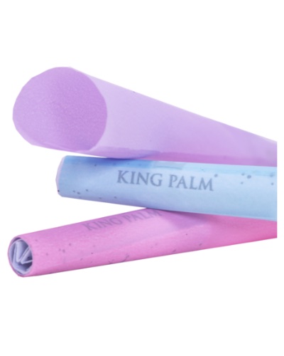 King Palm Skywalker Cones image 3